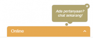 Online Chat ITERA