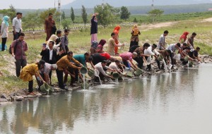 17.500 Bibit Ikan Nila Ditebar di Embung ITERA