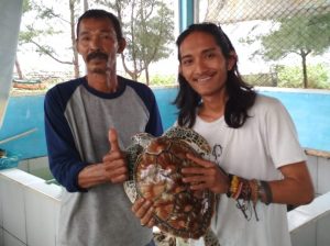 Mahasiswa ITERA Ikut Lestarikan Penyu di Bengkulu