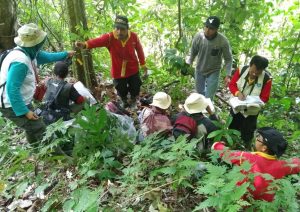 Kebun Raya ITERA Tambah Koleksi Tumbuhan Langka Hasil Eksplorasi