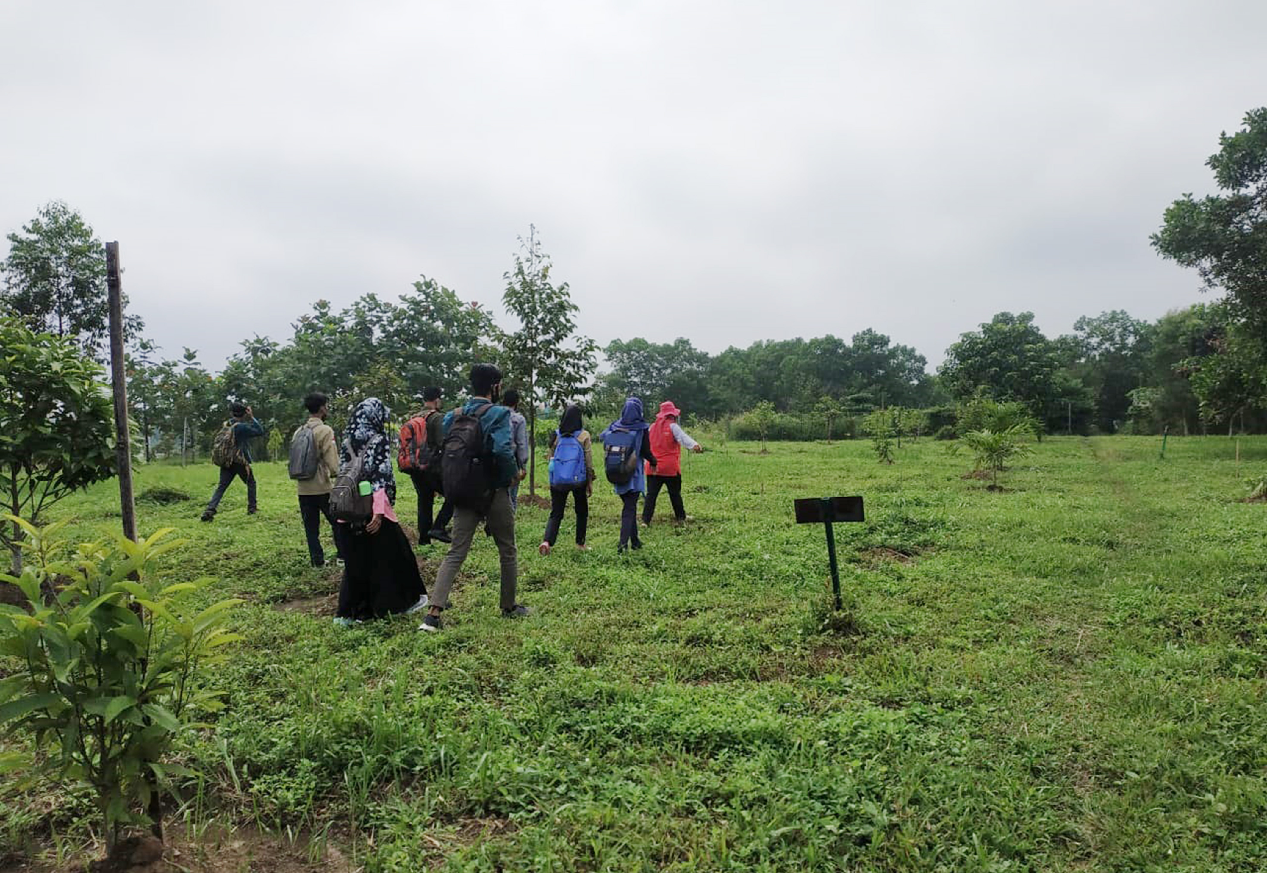 BPDASHL WSS Ajak Mahasiswa Kehutanan Unila Kunjungi Arboretum ITERA