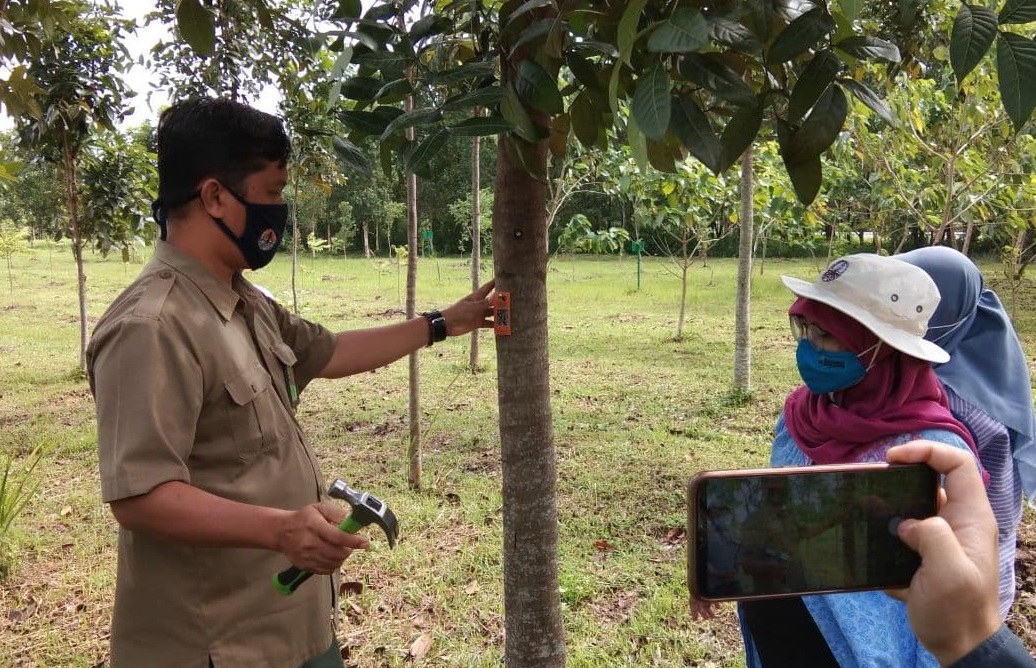 Pohon di Arboretum ITERA Dipasangi Barcode Edukatif