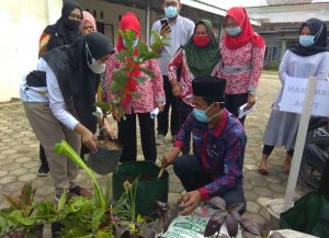 Hadapi Pandemi Covid-19 Dosen ITERA Latih Warga Tanam Obat Keluarga