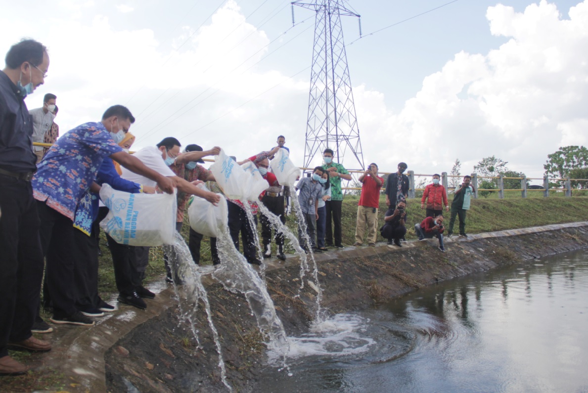 Ketua Komisi IV DPR RI Tebar 200.000 Benih Ikan di Embung ITERA