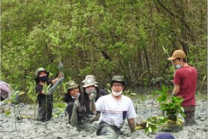 Peduli Lingkungan Dosen dan Mahasiswa Rekayasa Kehutanan ITERA Tanam 800 Bibit Mangrove di Pesisir Lampung Timur