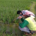 Mahasiswa ITERA Salurkan Alat Pengukur pH Tanah Bagi Petani Desa Trisnomaju
