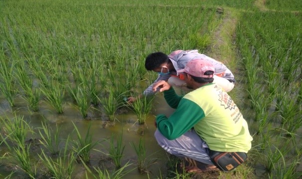 Mahasiswa ITERA Salurkan Alat Pengukur pH Tanah Bagi Petani Desa Trisnomaju