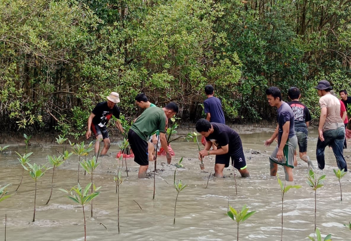 Peringati Hari Menanam Pohon Prodi Rekayasa Kehutanan Tanam Seribu Mangrove