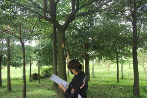 Arboretum ITERA Terapkan Pendataan Pohon Secara Digital