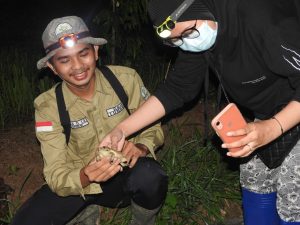 Rekayasa Kehutanan ITERA dan Fakultas Kehutanan IPB Teliti Amfibi Sumatera