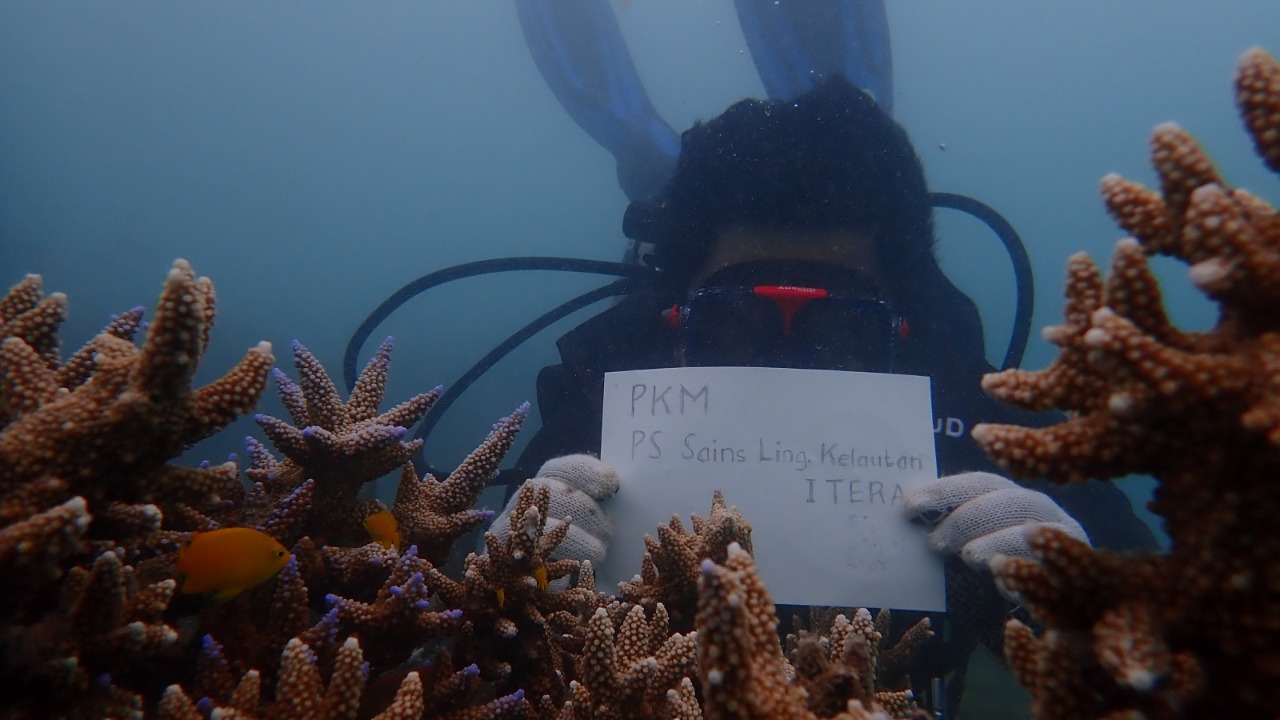 Mahasiswa dan Dosen Sains Lingkungan Kelautan ITERA Rehabilitasi Terumbu Karang Teluk Kiluan