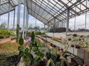 Siap Diresmikan Juni Kebun Raya ITERA Angkat Identitas Flora Sumatera