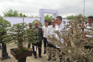 Meriahkan Dies Natalis ke-8 ITERA Gelar Pameran dan Workhsop Tanaman Bonsai