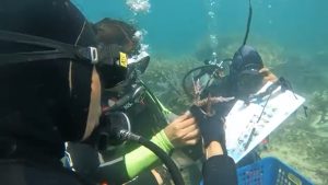 Dosen Biologi ITERA Penelitian Konservasi Terumbu Karang Pesisir Teluk Lampung