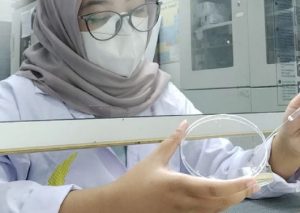 Enam Mahasiswa Teknologi Pangan ITERA Belajar Jadi Peneliti Melalui Program MBKM Riset di BRIN
