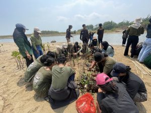 Gandeng Komunitas Mangrove Lampung Selatan, Himpunan Mahasiwa Teknik Lingkungan ITERA Gelar Aksi Peduli Lingkungan