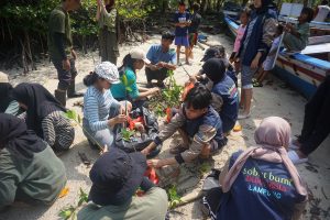 Tim PPK Ormawa Unit Selam Itera Tanam 1.000 Bibit Mangrove di Pulau Pahawang