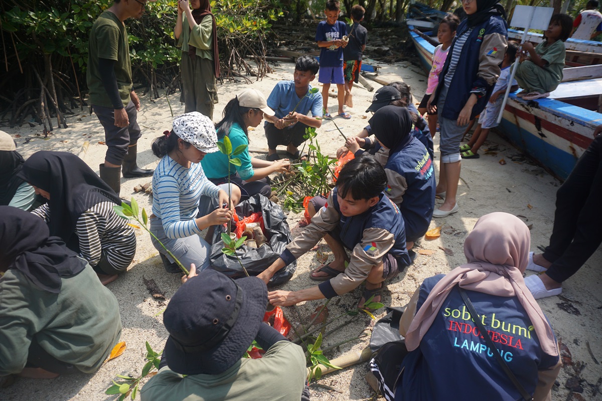 Tim PPK Ormawa Unit Selam Itera Tanam 1.000 Bibit Mangrove di Pulau Pahawang
