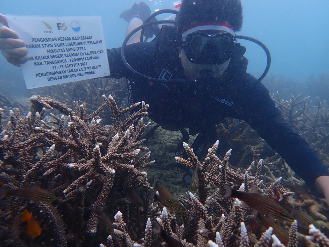 Prodi Sains Lingkungan Kelautan Itera Lakukan Transplantasi Terumbu Karang dan Gelar Upacara Kemerdekaan di Bawah Laut