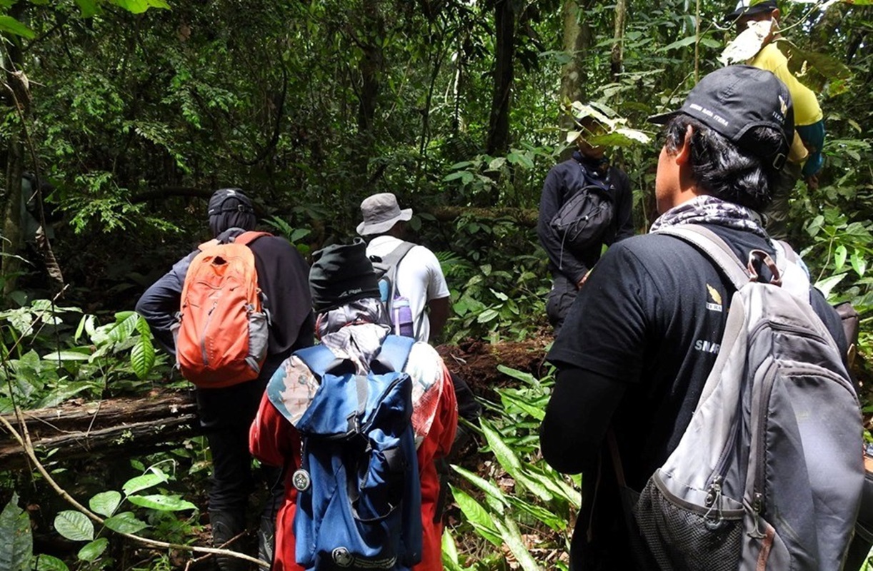 Kebun Raya Itera Berhasil Tambah 100 Koleksi Tumbuhan Langka Hasil Eksplorasi Taman Nasional Kerinci Seblat