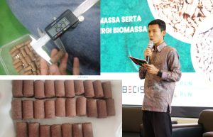 Inovasi Biopellet Kayu Gamal dan Kulit Kopi Karya Dosen Rekayasa Kehutanan Itera Jadi Energi Alternatif Ramah Lingkungan
