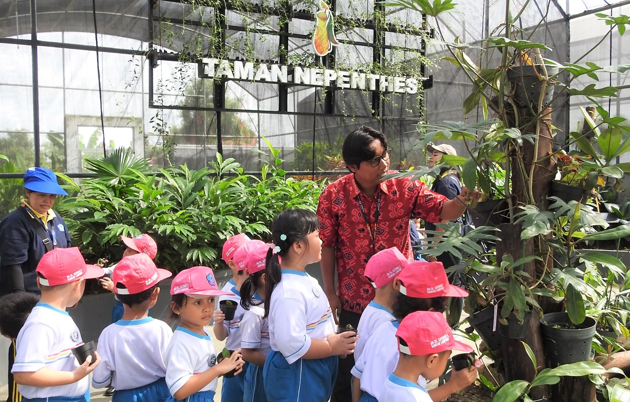Kebun Raya Itera Raih Pendanaan Internasional untuk Pelestarian Kantong Semar