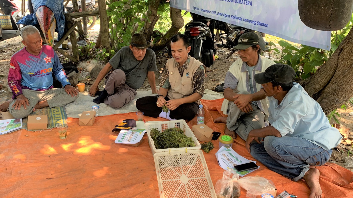 Dorong Kemandirian Pangan, Prodi Teknologi Pangan Itera Latih Warga Pesisir Kalianda Budidaya Anggur Laut