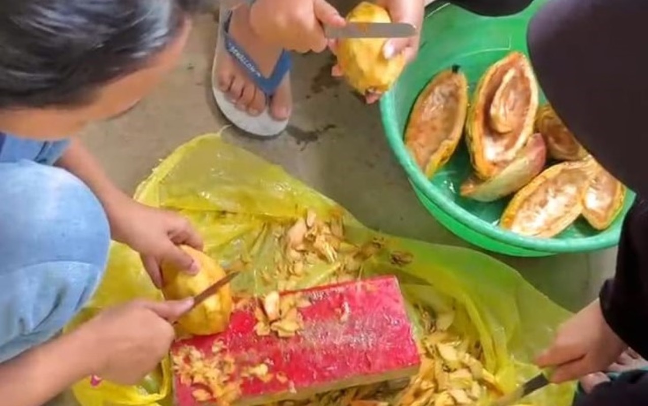 Mahasiswa Itera Olah Kulit Kakao Jadi Kerupuk hingga Teh Herbal