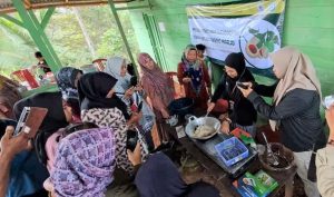 Dosen Itera Berdayakan Kelompok Tani Hutan olah Buah Pala jadi Permen Herbal