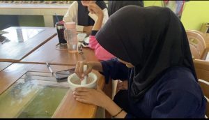 Inovasi Dosen Rekayasa Kosmetik Itera Olah Kelapa dan Singkong Jadi Lip Balm hingga Body Scrub Mocaf