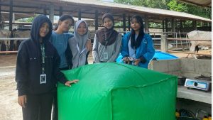 Dorong Desa Mandiri Energi, Mahasiswa Itera Kembangkan Biogas dari Limbah Sapi