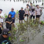 Teknik Geomatika Itera Tanam Mangrove untuk Mitigasi Abrasi di Pesawaran