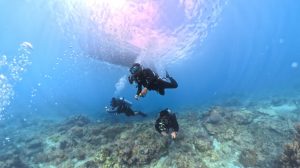 Sertifikasi Selam Dukung Kapasitas Riset Dosen Itera di Bidang Kelautan