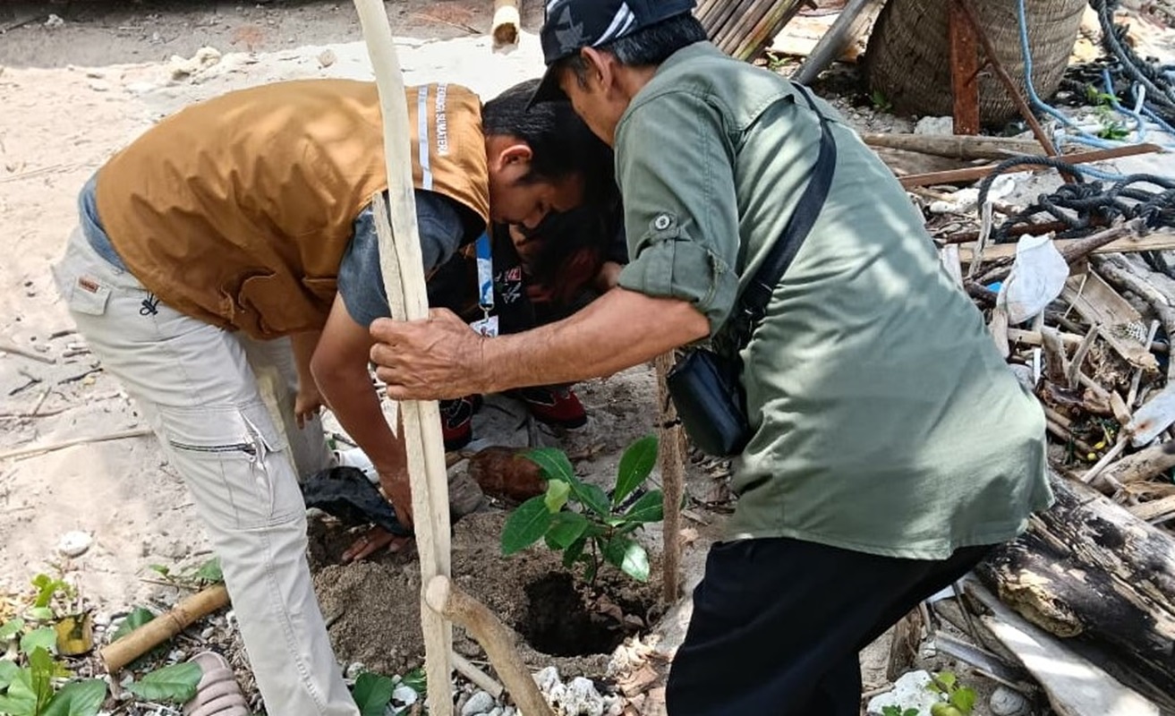 Hijaukan Desa, Mahasiswa KKN Itera Tanam Pohon Ketapang di Tarahan