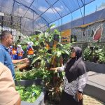 Jadi Percontohan Nasional, Kebun Raya Itera Terima Studi Tiru Kebun Raya Bulungan Kalimantan Utara