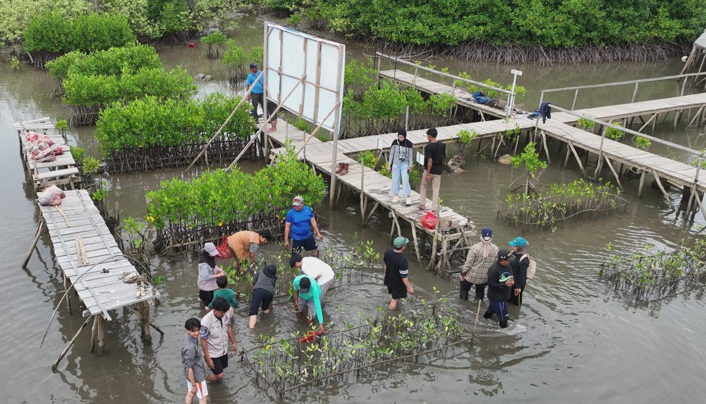 FTIK Itera Jajaki Kerja Sama Restorasi Mangrove Bersama Tembusu Asia Consulting