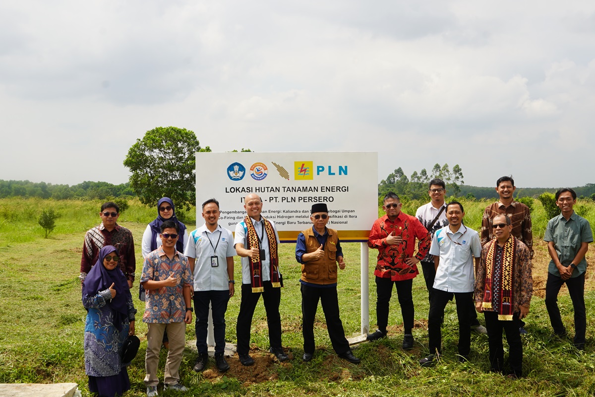 Itera dan PLN Mulai Riset Pengembangan Tanaman Energi Kaliandra dan Sorgum untuk Dukung Energi Terbarukan