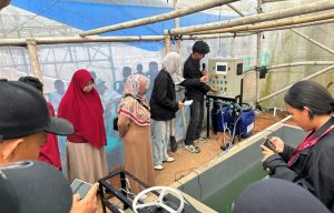 Read more about the article Tim Itera Dampingi Petani Melon Lampung Timur Terapkan Teknologi Pemupukan Berbasis IoT