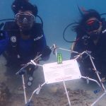 Jaga Ekosistem Laut, Mahasiswa Itera Transplantasi Terumbu Karang dan Tanam Mangrove di Pahawang