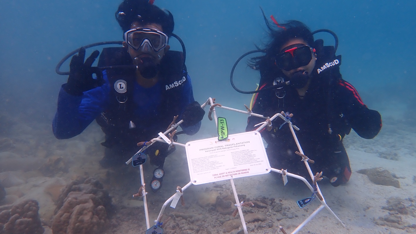 Jaga Ekosistem Laut, Mahasiswa Itera Transplantasi Terumbu Karang dan Tanam Mangrove di Pahawang