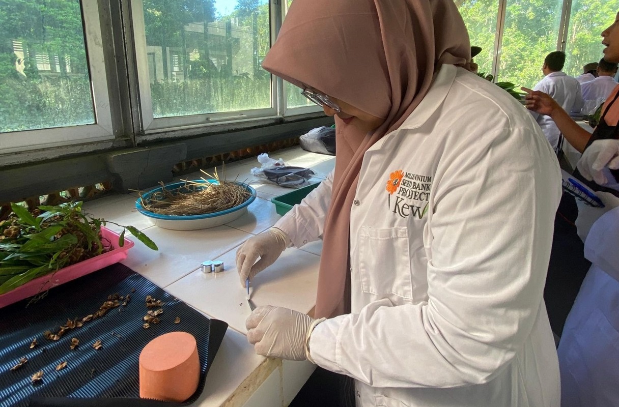 You are currently viewing Kebun Raya Itera Kembali Raih Pendanaan Internasional BGCI, Rintis Pengembangan Bank Benih