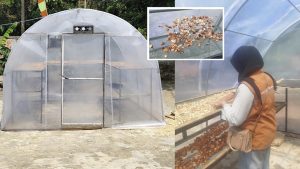 Read more about the article Atasi Cuaca Tak Menentu, Itera Hadirkan Solar Dryer Dome untuk Bantu Petani Kakao