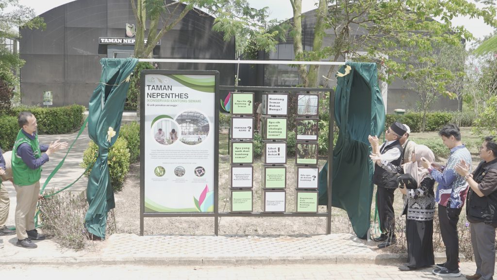 You are currently viewing Kolaborasi Kebun Raya Itera dan PLN UP Tarahan Bangun Rumah Konservasi Kantong Semar Raih Prestasi Nasional
