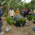 Itera dan BRMP TRI Temukan Potensi Sumber Air untuk Kebun Kopi Tanggamus