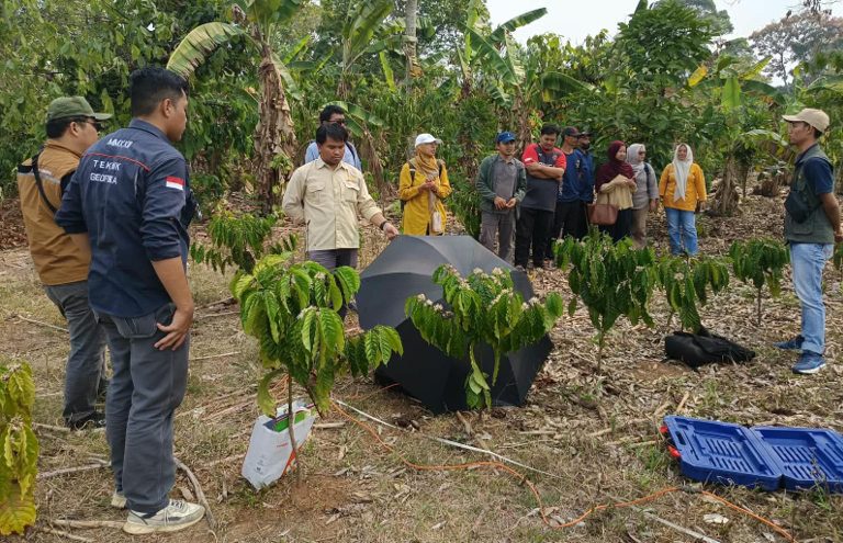 You are currently viewing Itera dan BRMP TRI Temukan Potensi Sumber Air untuk Kebun Kopi Tanggamus